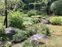 Kinkakuji-Tempel 