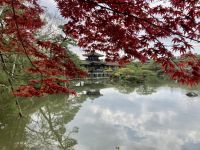 Kinkakuji-Tempel