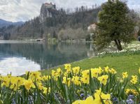 Tag 6 - Bled