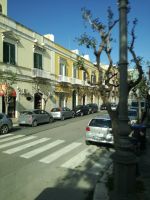 Trani