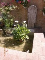 Auf dem Spaziergang in Cordoba