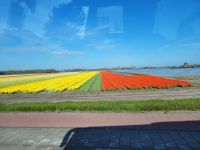 061 Tot ziens!