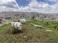 auf dem Zitadellenberg