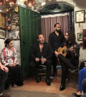 Flamencosänger Sacramonte