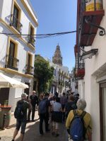 Blick auf die Moschee-Kathedrale