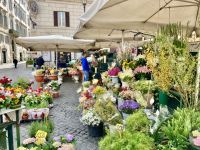 Blumenmarkt 