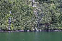 Tag 15 - Neuseeland - Milford Sound (13)