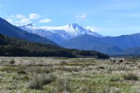 Tag 17 - Neuseeland - Mount Hooker