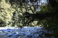 Tag 17 - Neuseeland - Thunder Creek Falls (2)