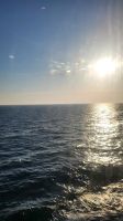 150 – Auf dem Weg nach Hause