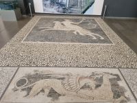 Archäologisches Museum von Pella (Mosaik aus dem Haus des Dionysos))