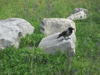 ...für mich auch interessant