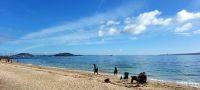 Neuseeland - Nordinsel - Mission Bay Auckland