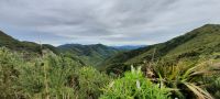 Neuseeland Nordinsel - Wairapa Region - Remutaka Aussichtspunkt