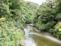 Neuseeland Nordinsel - Kaitoke Regionalpark - Hutt River