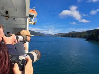 Neuseeland - Fährpassage durch den Queen Charlotte Sound zur Südinsel