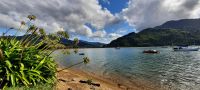 Neuseeland Südinsel - Queen Charlotte Drive - Ngakuta Bay