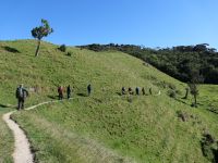 Neuseeland Südinsel - Genießertag an der Golden Bay - Wanderung