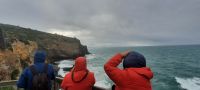 Neuseeland Südinsel - Halbinsel Otago