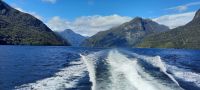 Neuseeland Südinsel - Fjordland Nationalpark - Doubtful Sound