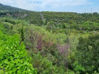 Wanderung am Fuße des Olymp - Litochoro (Enipeas-Schlucht)