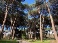 3. Reisetag – Spaziergang durch Montecatini Terme – Kurpark