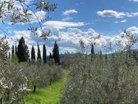 4. Reisetag – Besuch auf dem Safran-Bauernhof bei San Gimignano
