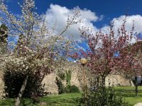 6. Reisetag – Stadtführung in San Gimignano – Parco della Rocca