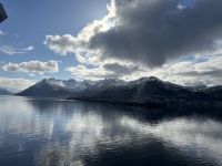 Hurtigruten 