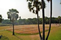 wie eine Blumenwiese