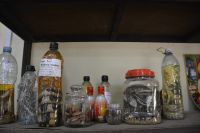 Sammlung für die Forschung!