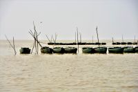 Fischerboote im See