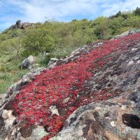 Thiesi Wanderung 6
