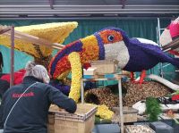 Aufbau Blumenkorso in Sassenheim