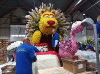 Aufbau Blumenkorso in Sassenheim