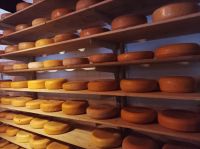 Rembrandt Hove Käserei