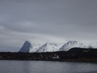 Hurtigruten - Harstad