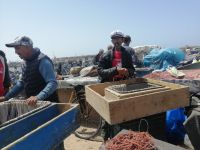 Fischer im Hafen von Essaouira