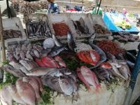 Fischangebot, Hafen von Essaouira