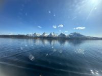 Die sieben Schwestern 