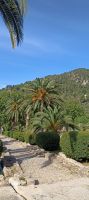 Alfabia