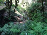 Balcoes Levada