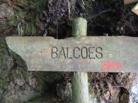 Balcoes