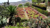 Botanischer Garten von Funchal