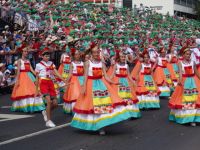 Blumenfest