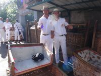 Monte - Korbschlittenlenker