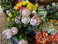Markthalle