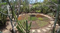 Botanischer Garten von Funchal