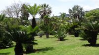 Botanischer Garten von Funchal