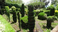 Botanischer Garten von Funchal